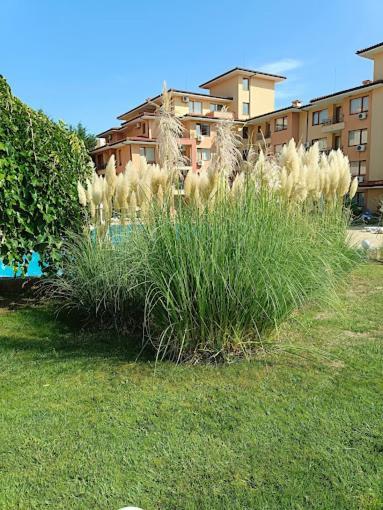 Magic Dreams Apartments 圣弗拉斯 外观 照片